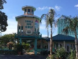 Shell We Golf