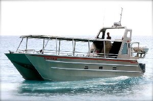 Hang Loose Boat  Tours