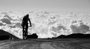 Krank Cycles