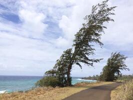 Hawaii United States Beach
