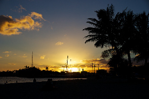 Ala Moana Beach Park
