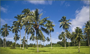 Hana United States Garden