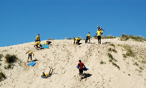The Surf  Shack Curracloe