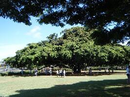 Moanalua Gardens Park