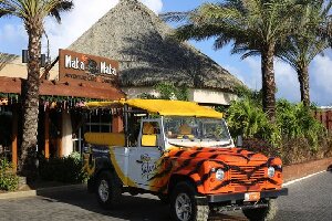 ABC Tours Aruba
