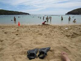 Shaka Tours