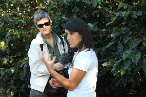 Doka Estate Coffee Tour