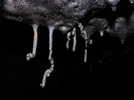 Hilo United States Cave