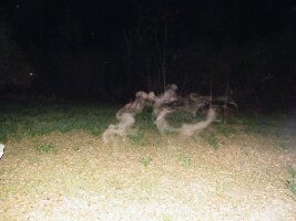 Charleston Ghost and Graveyard Tour