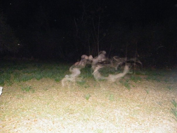 Charleston Ghost and Graveyard Tour