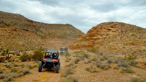 Las Vegas United States Desert