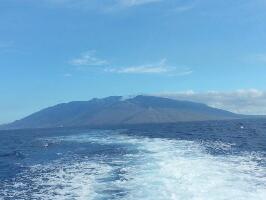Aloha Blue Charters