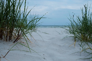 Dueodde Beach