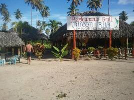 Flora Tours - Day Tours