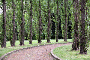 Treptower Park
