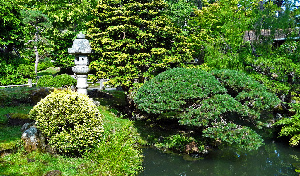 Japanese Tea Garden