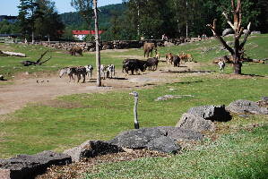 Boras Djurpark