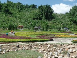Yang Bay Eco Park