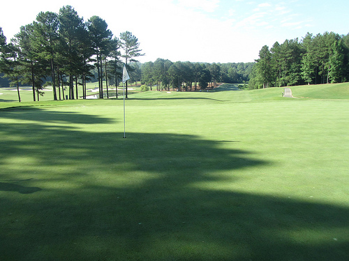 The Frog Golf Course