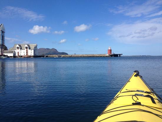 Kayak More Tomorrow