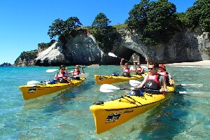 Cathedral Cove Kayak Tours