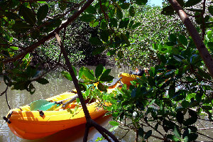 Ducos Martinique Kayak