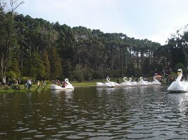Gramado Brazil Lake
