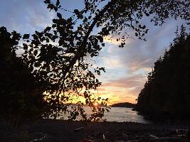 ROW Sea Kayak Adventures - Day Tours