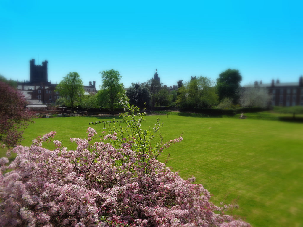 Chester Cathedral Falconry and Nature Gardens