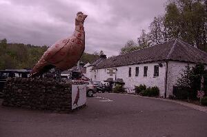 Crieff Scotland Experience