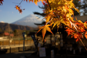 Mount Fuji