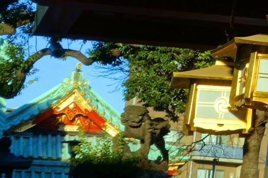 Yes in Japan - Day Tours