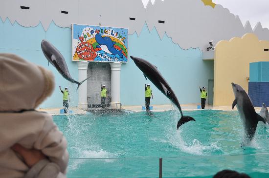 Kobe City Suma Marine Aquarium