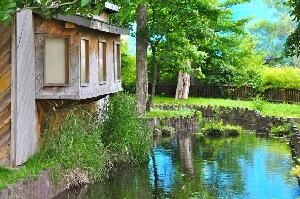 Chitose Japan Aquarium