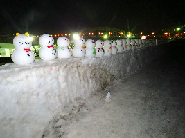 Asahikawa Japan Park