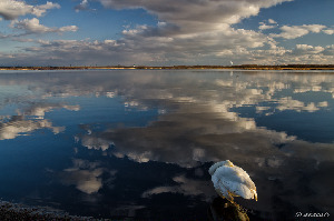 Tomakomai Japan Lake