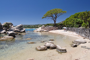 Tamaricciu Beach