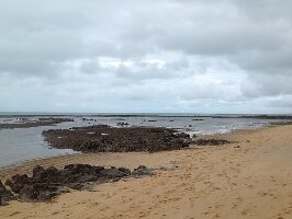Curuipe Beach