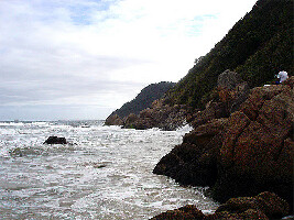 Tombo beach