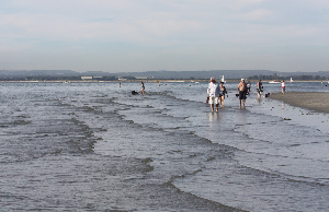 West Sussex England Beach