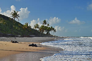 Coqueirinho Beach