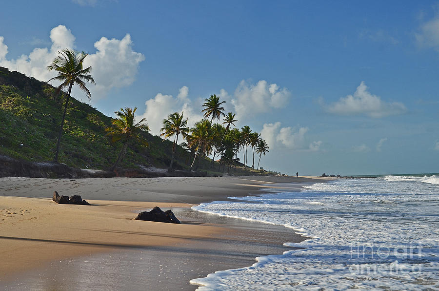 Coqueirinho Beach