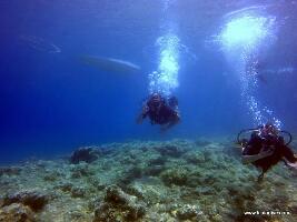 Lindos Greece Dive