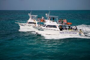 Florida United States Dive