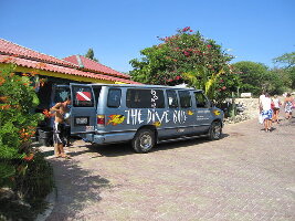 The Dive Bus