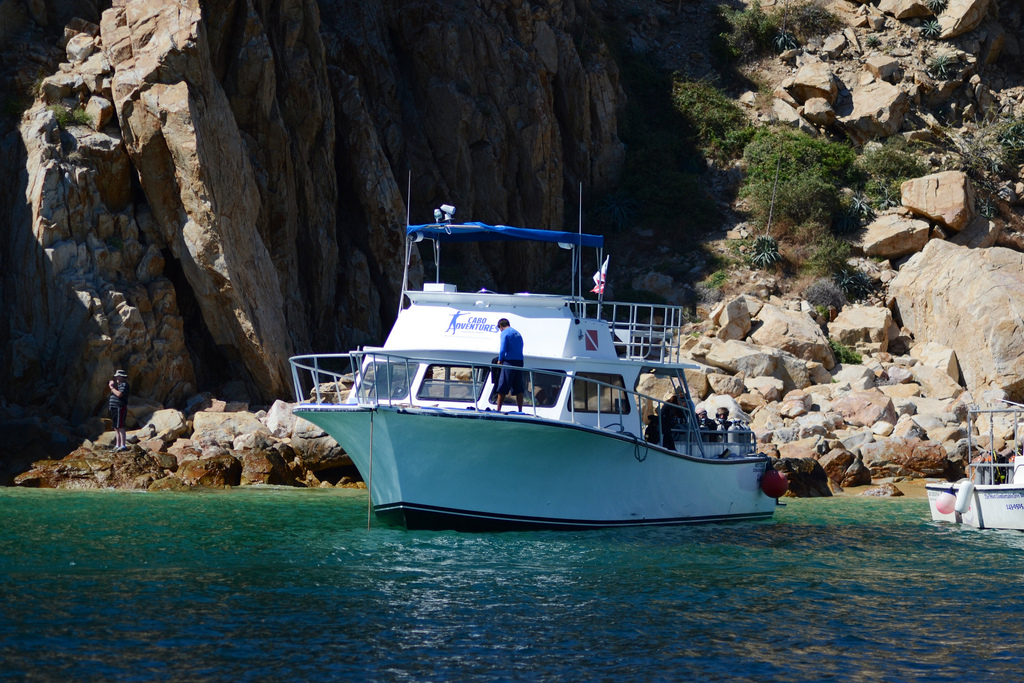 Dive Cabo