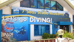 Moalboal Philippines Dive