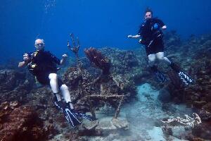 Relaxed Guided Dives