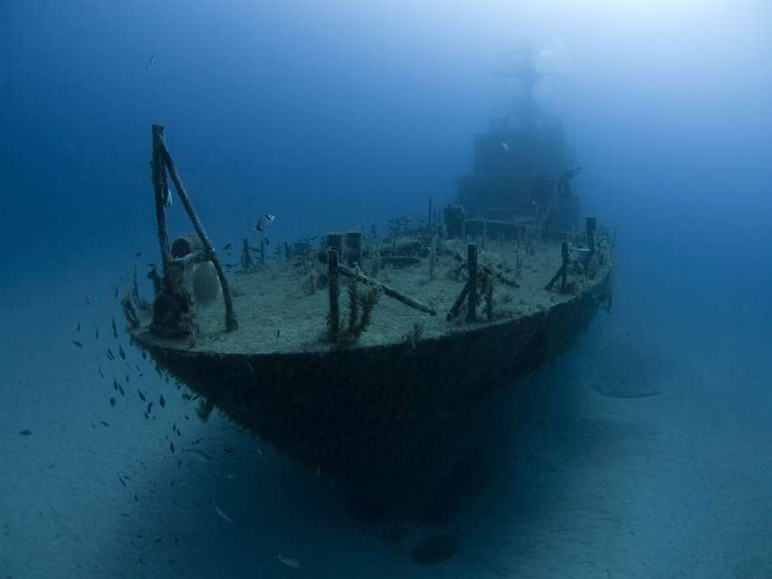 Buddies Dive Cove