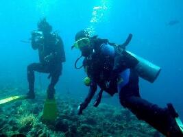 Tulamben Indonesia Dive